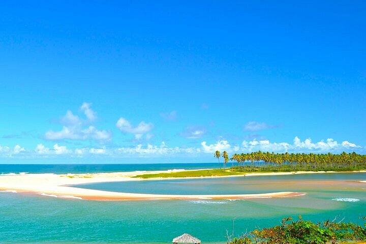 Praia do Forte — 26 de Diciembre — Brasil