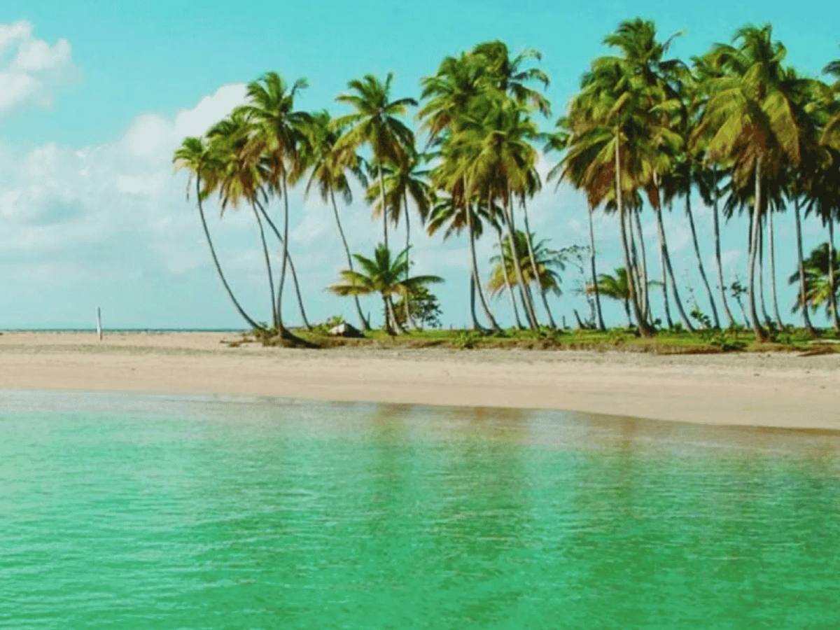 8 Miches - 05 de Noviembre — República Dominicana